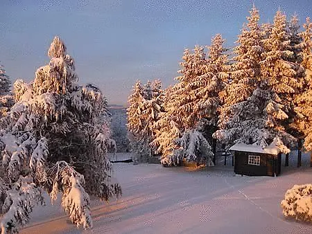 Berg-hotel Hohegeiss Hotel Braunlage